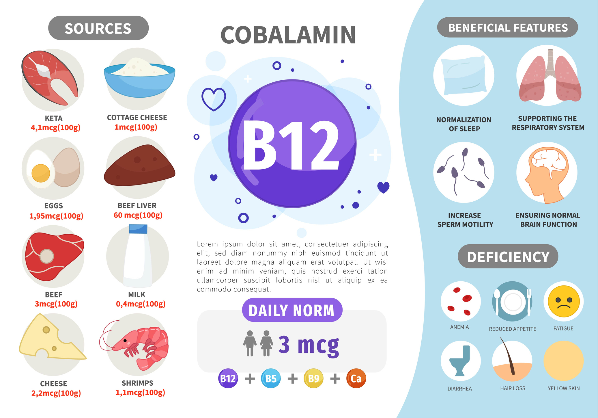 Източници на витамин B12