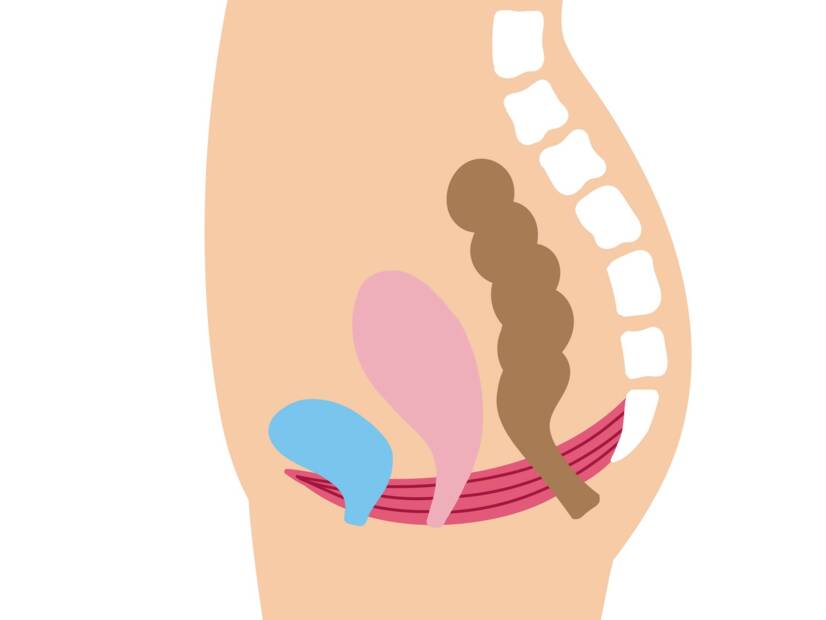 Тазово дъно: каква е неговата функция и значение при жените + Упражнения за укрепване и релаксация